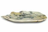 Polished Maligano Jasper Plate - Indonesia #323256-1